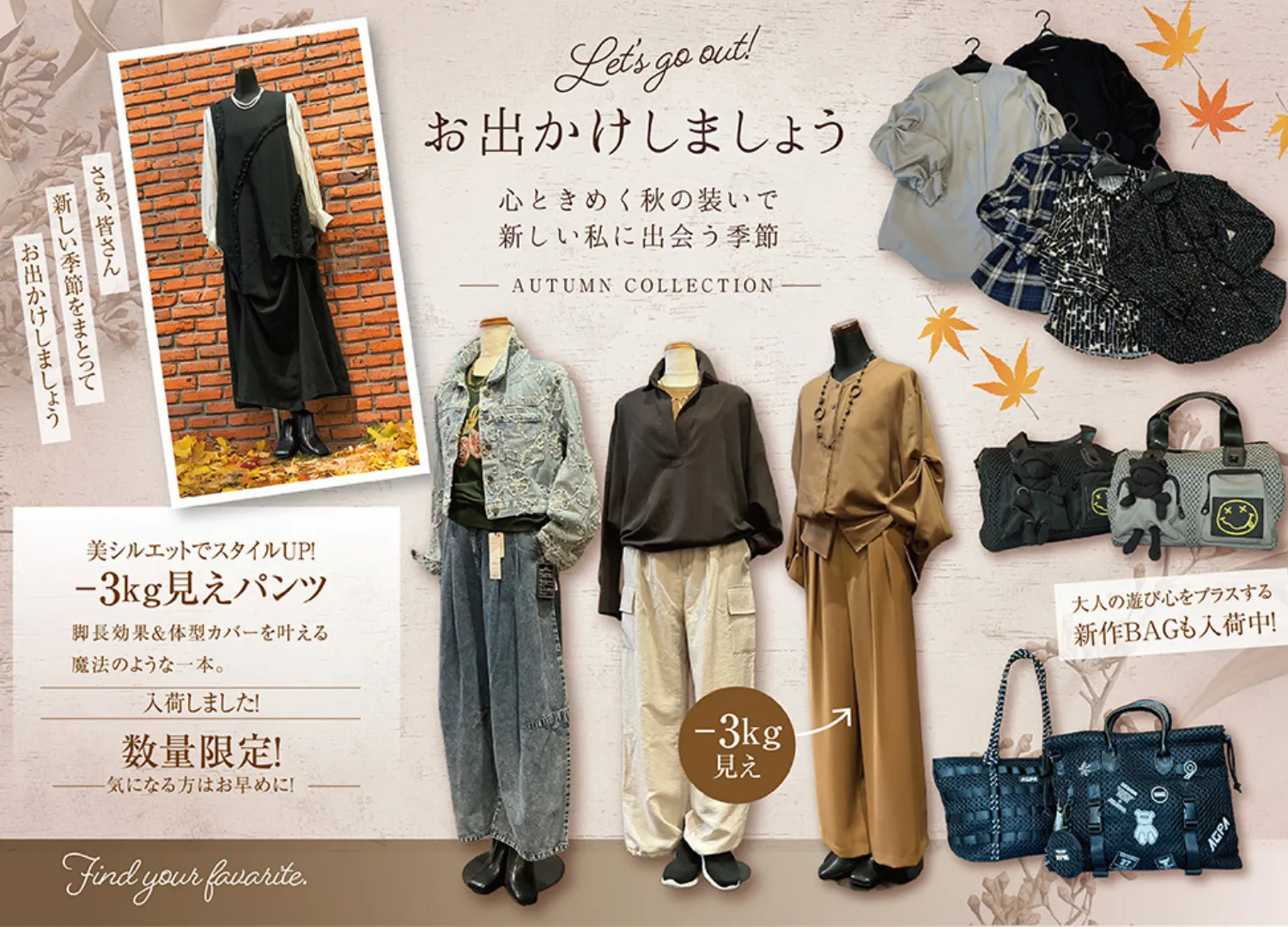 秋の新作Collection